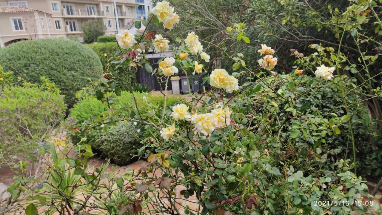 villa margueritte Sainte-Maxime Esterno foto